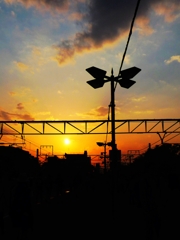 20100502昭和紀念公園