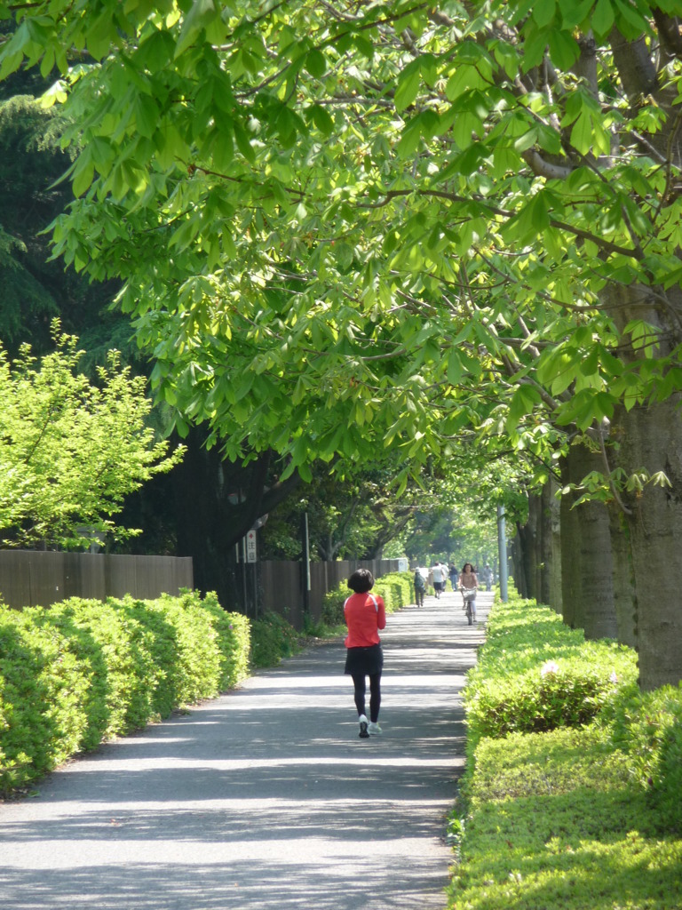 20100502昭和紀念公園