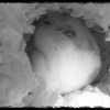 sommeil ami