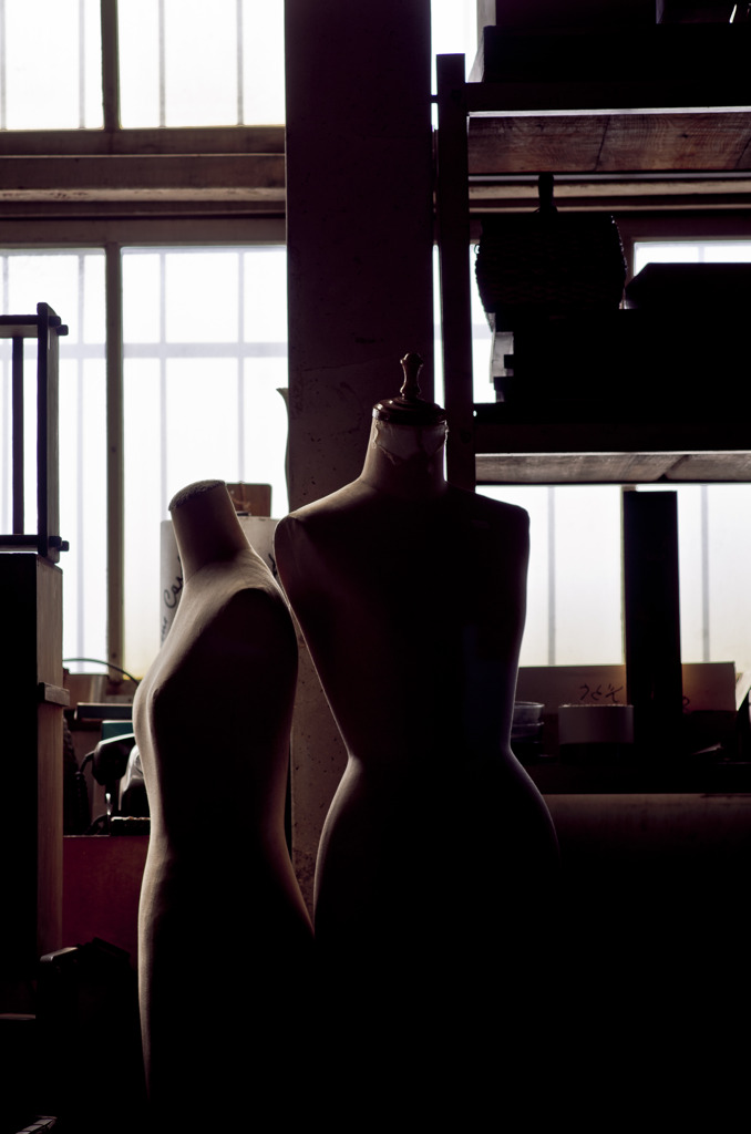 Torso