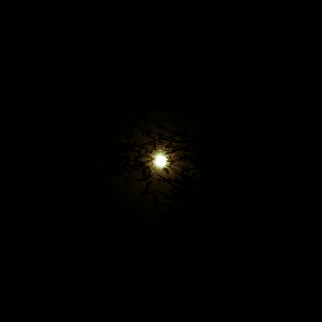eye/moon