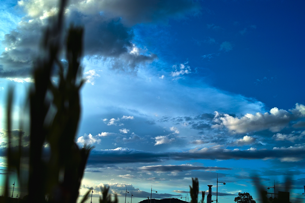 Herbe et ciel