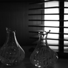 ぶらり、カラフェお買い上げ