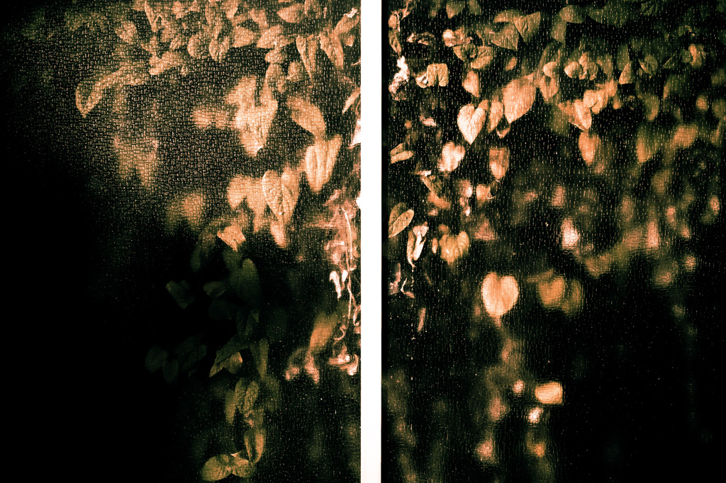 Feuilles