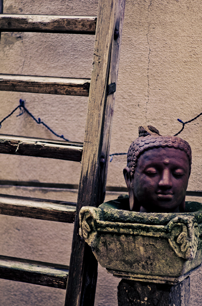 Buddha's brain contusion