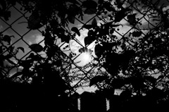 jeu des ombres 太陽との関係性　影