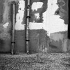 if…
