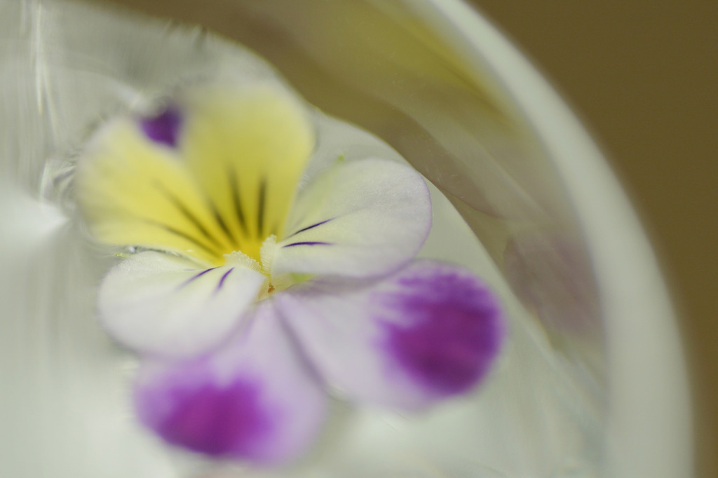 CRW_2410_RJ