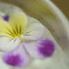 CRW_2410_RJ
