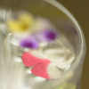 CRW_2413_RJ