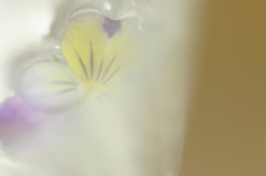 CRW_2404_RJ