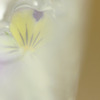 CRW_2404_RJ