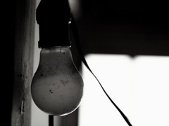 Lamp. 