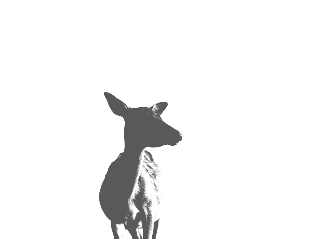 Deer's silhouette