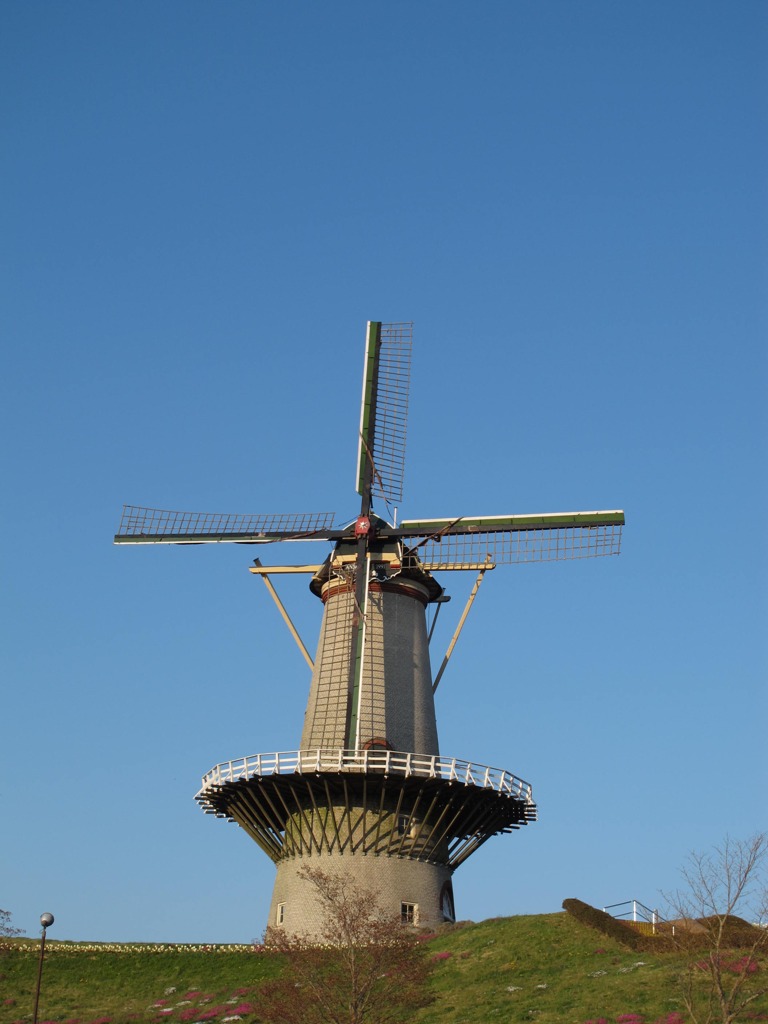 100501_172631