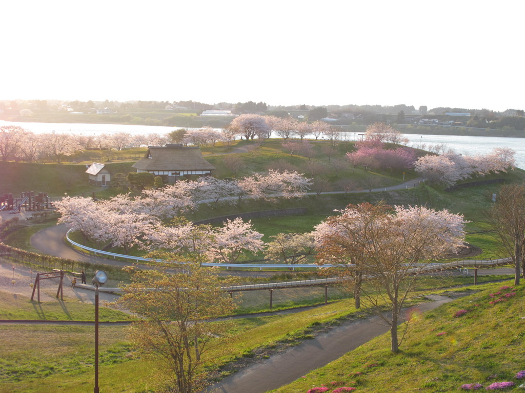 100501_174030