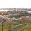100501_174030