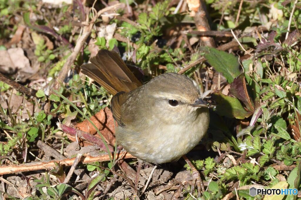 突然目の前に・・・