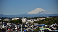 今朝の富士山