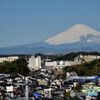 今朝の富士山