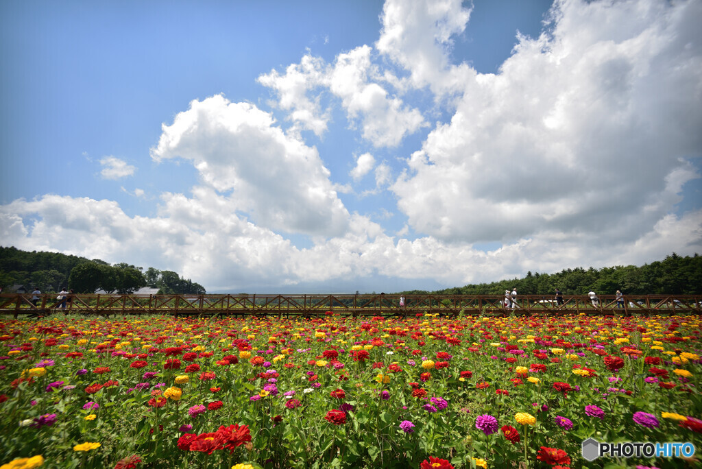 雲隠れ