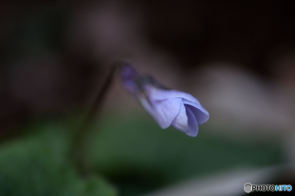 みっけ