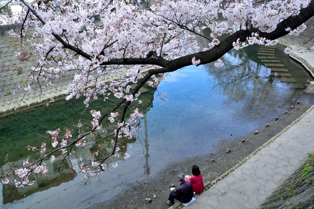夫婦でのんびり