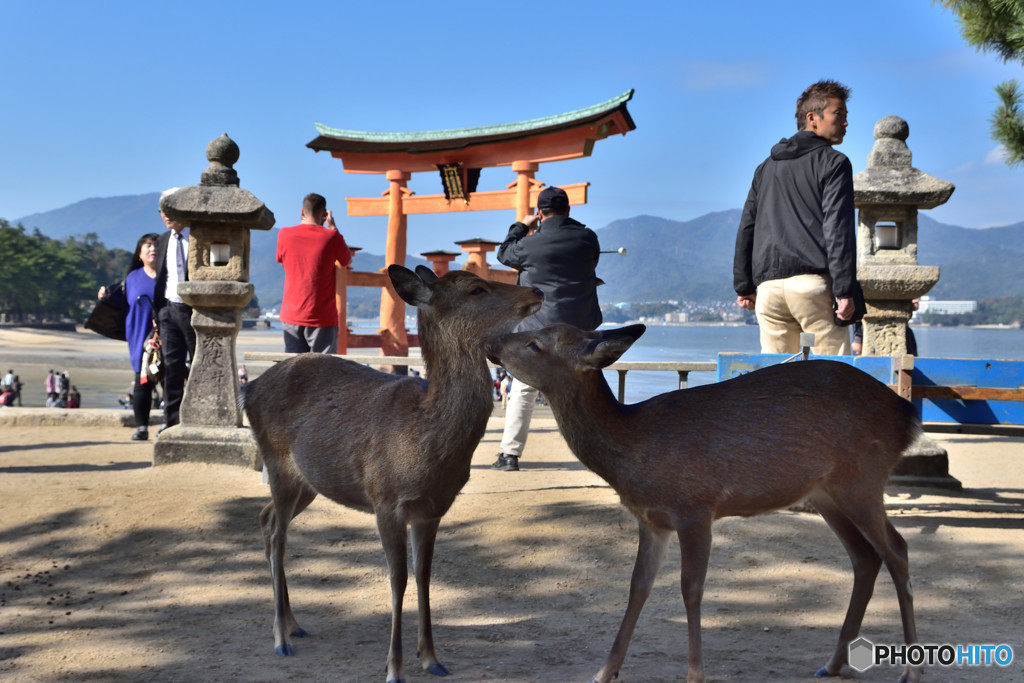 人目も憚らず