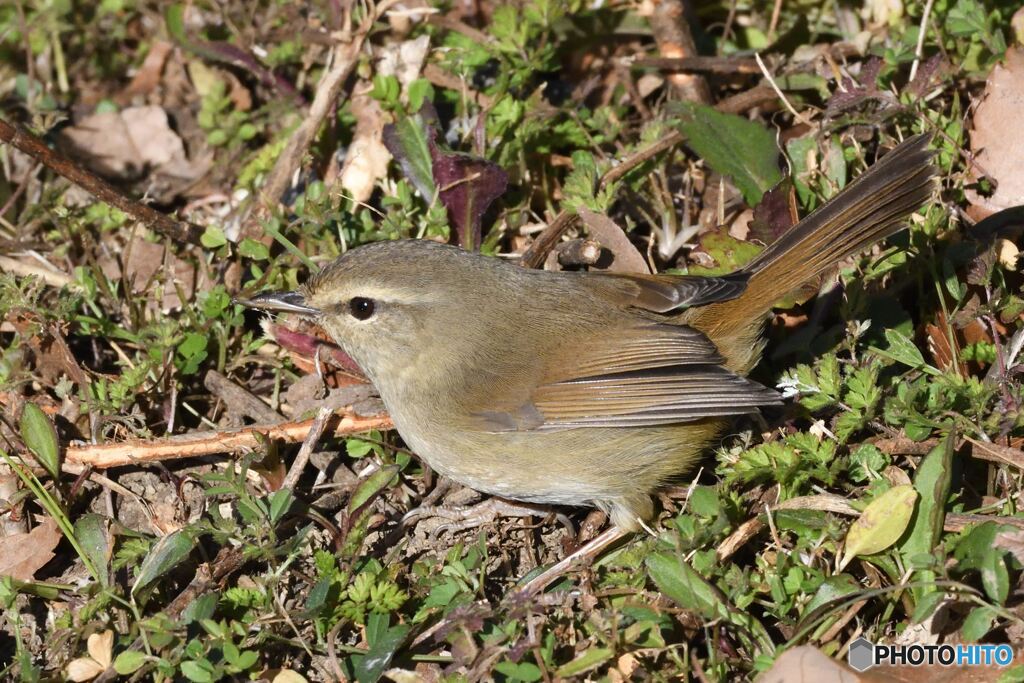 突然目の前に・・・その２