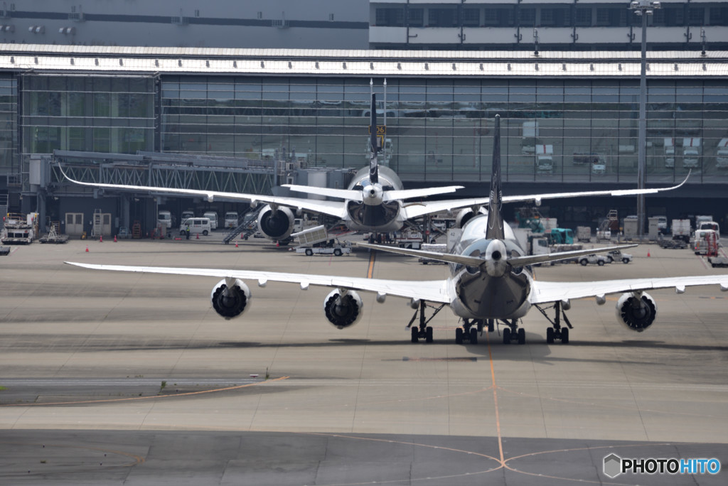 夏の羽田空港便り　④