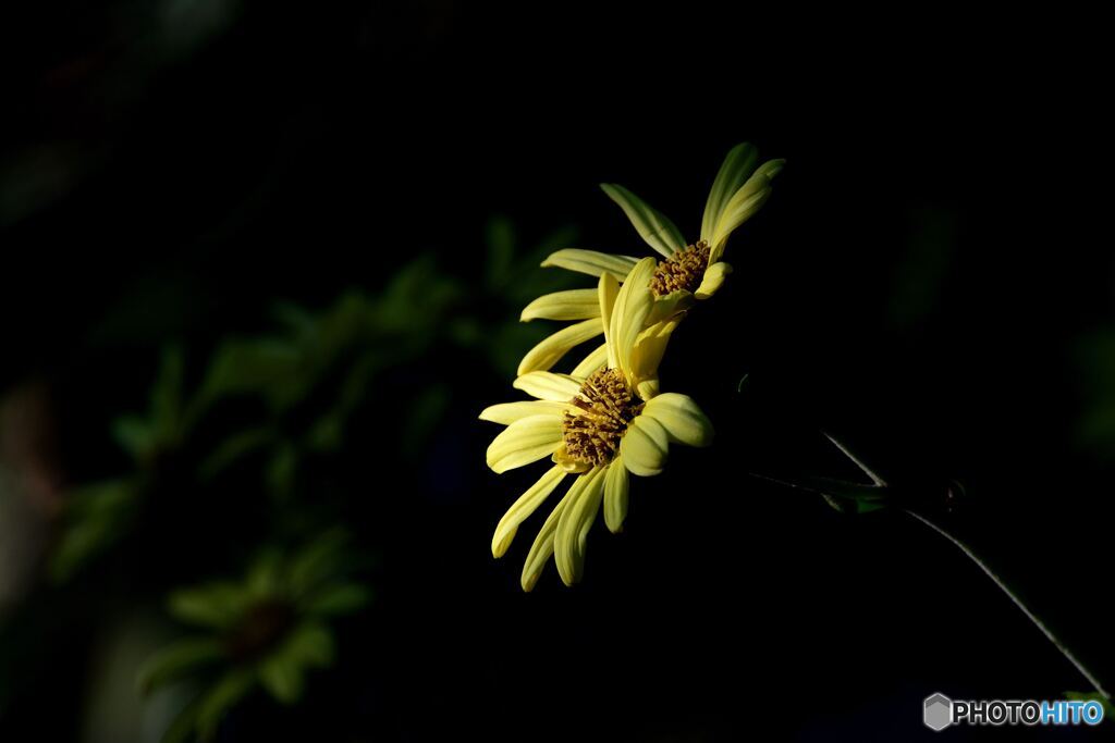 困難に負けない