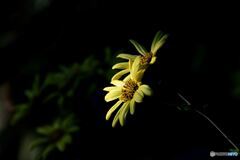 困難に負けない