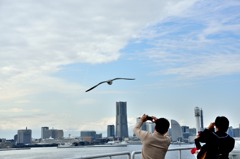 the Port of Yokohama