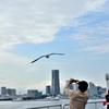 the Port of Yokohama