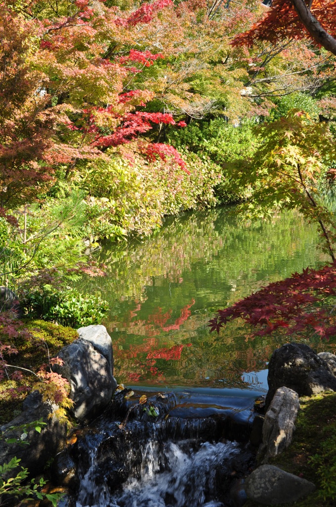 流れて行かないで（永観堂の紅葉Ⅲ）