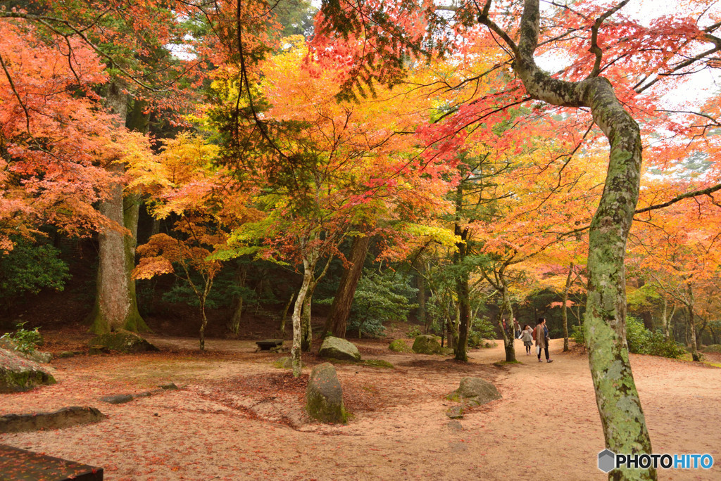 秋（安芸）の宮島　その３
