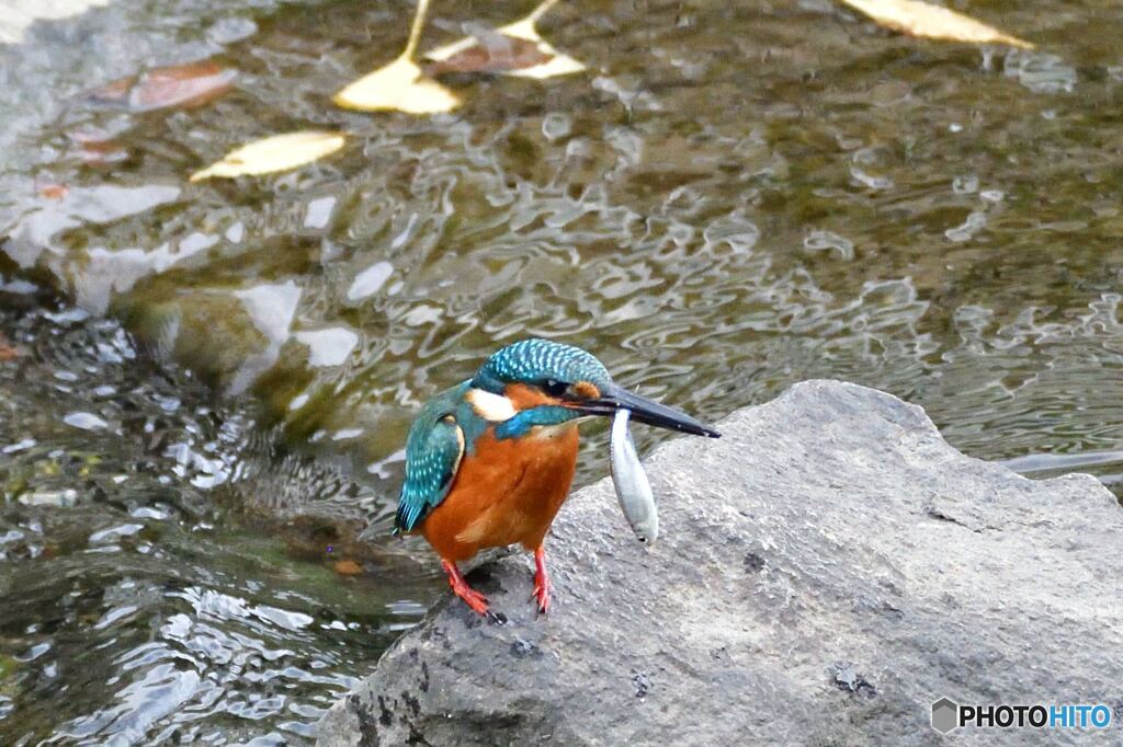 あっという間に