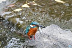 あっという間に