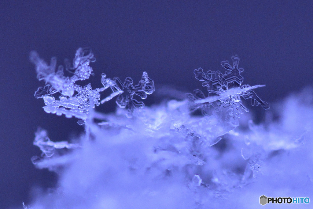 只今積雪１センチ