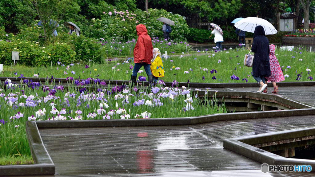雨もまた楽し　③