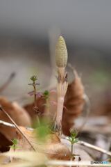 お目覚め　その２