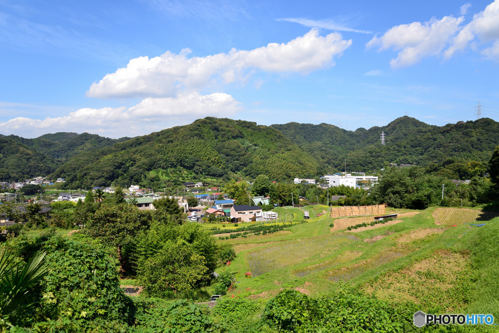 棚田