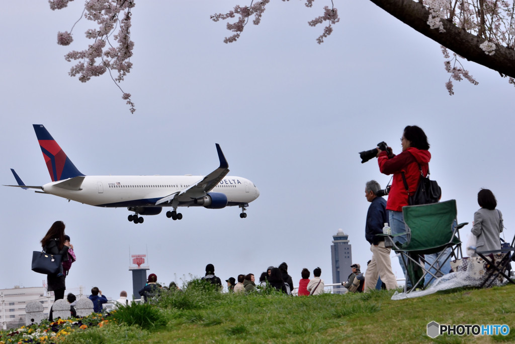 桜と飛行機　②