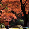 決して紅くは染まらない