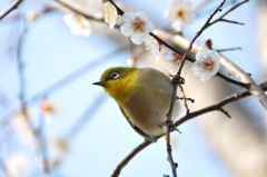 綺麗に撮れてる？