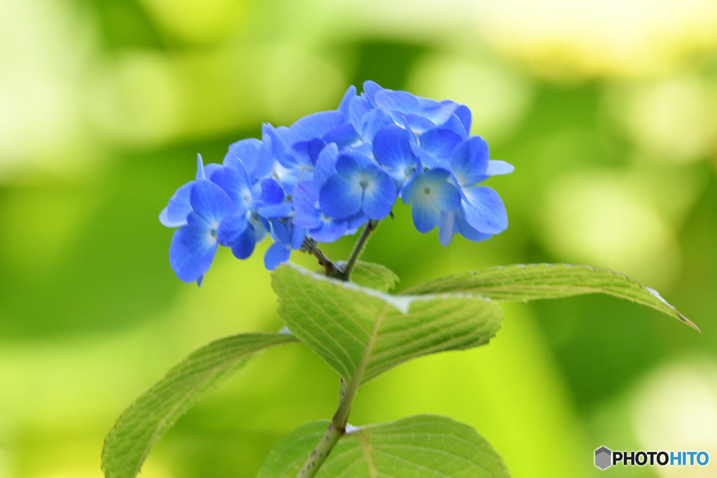 気分だけでも爽やかに