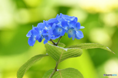 気分だけでも爽やかに