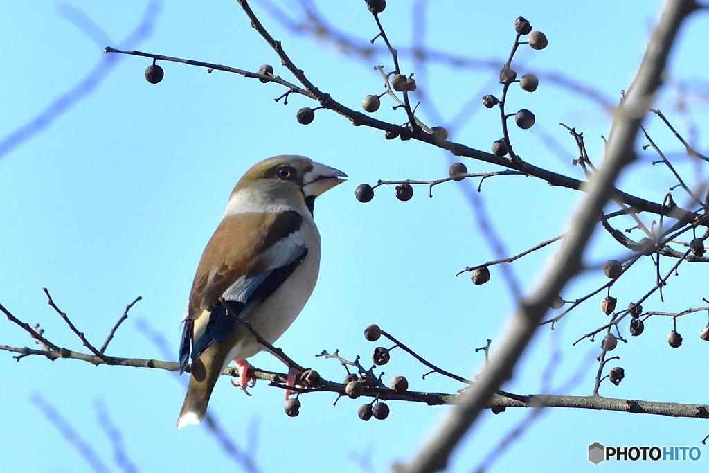 何撮ってんだよ