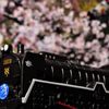 撮り鉄に挑戦