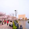 みなとみらいの桜④　汽車道